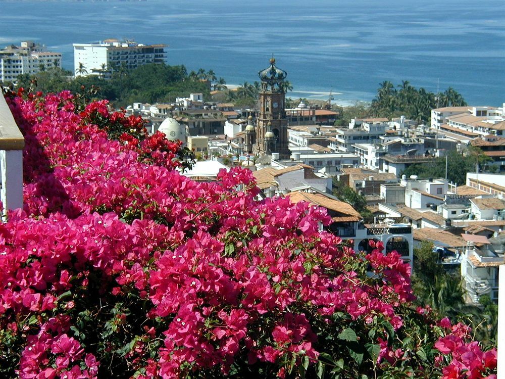 Hotel Suites La Siesta Puerto Vallarta Zewnętrze zdjęcie