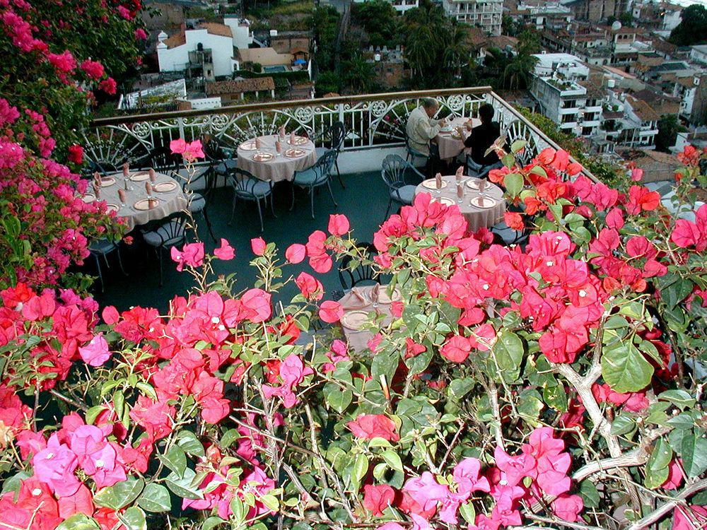 Hotel Suites La Siesta Puerto Vallarta Zewnętrze zdjęcie